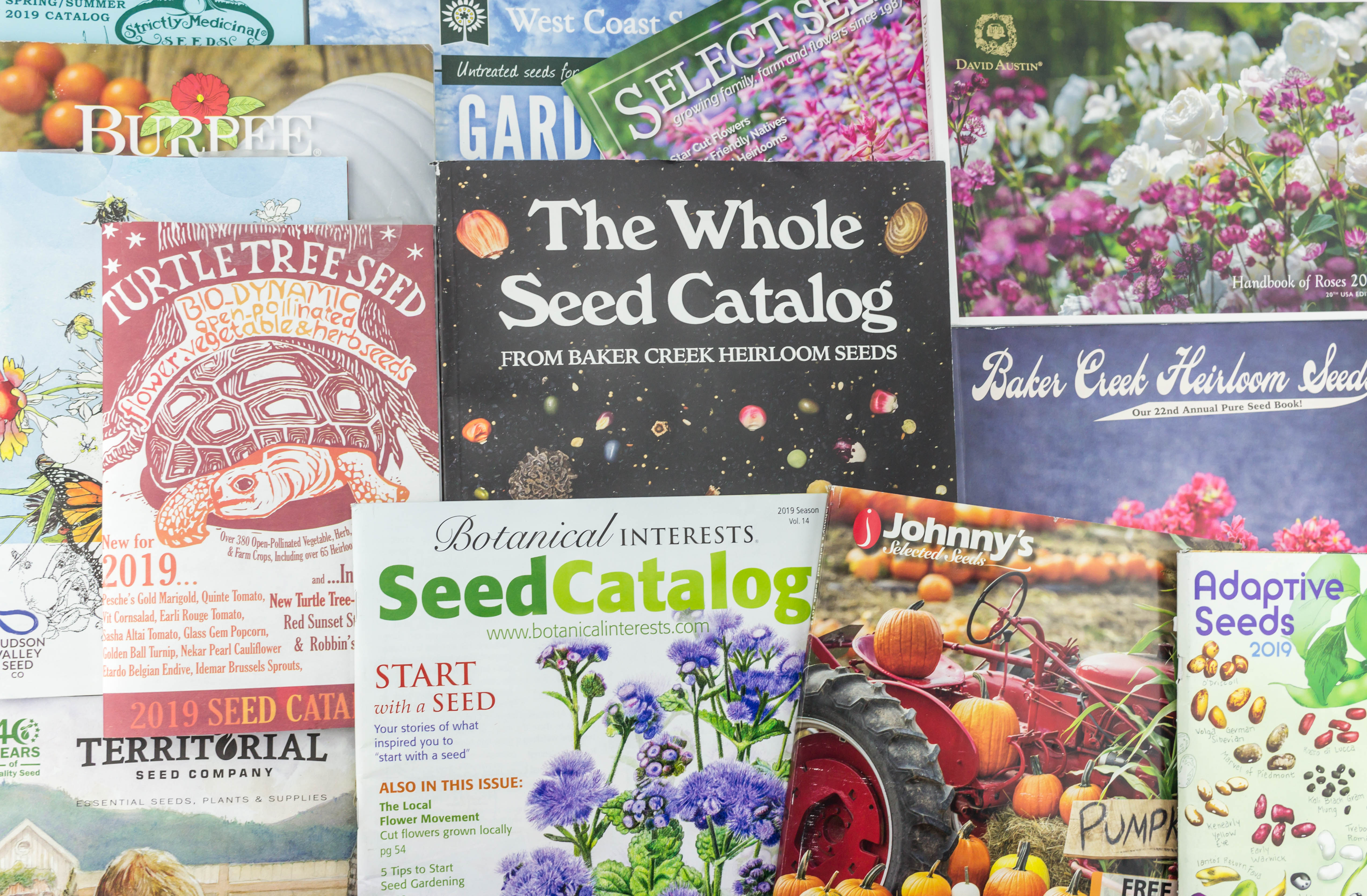 The Ultimate List of Seed Catalogs and Plant Companies Angie The